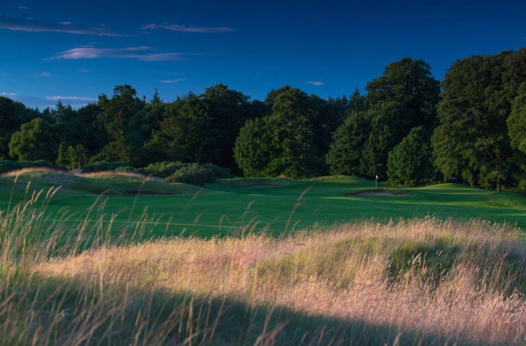 Long reeds overlook a green fairway at Castlemartyr Resort