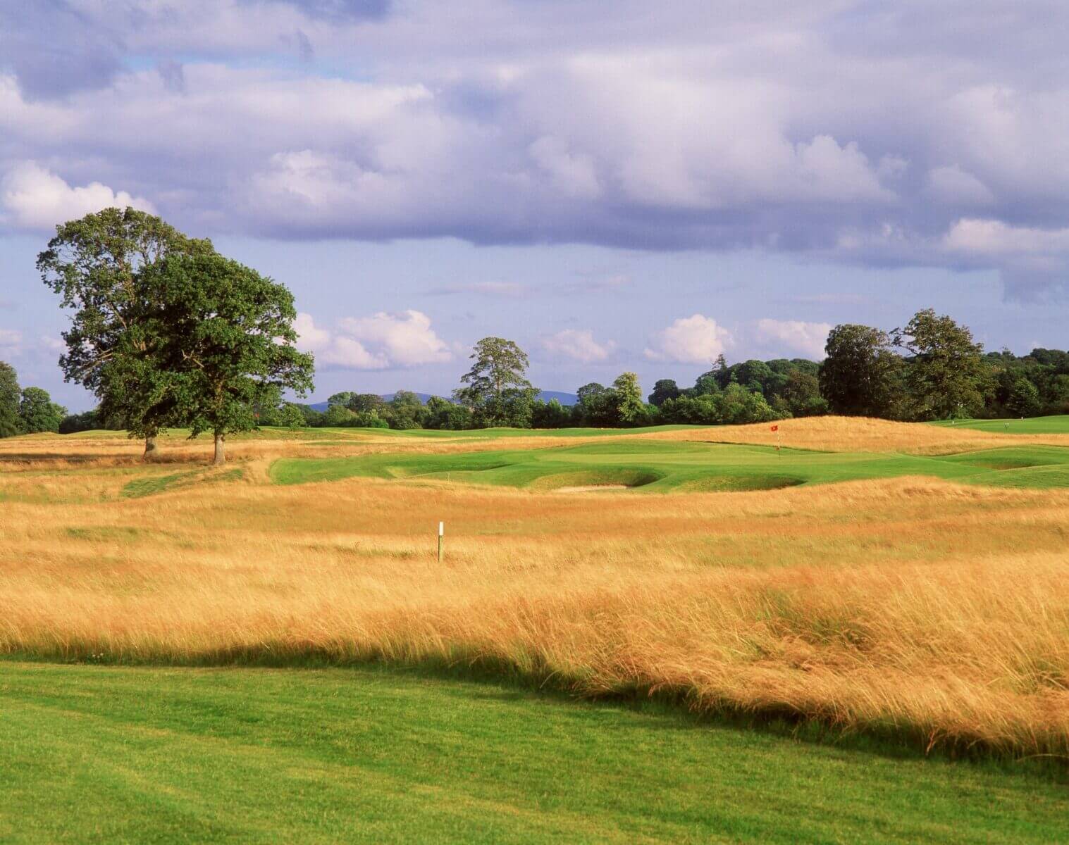 Montgomerie Links at Carton House Resort