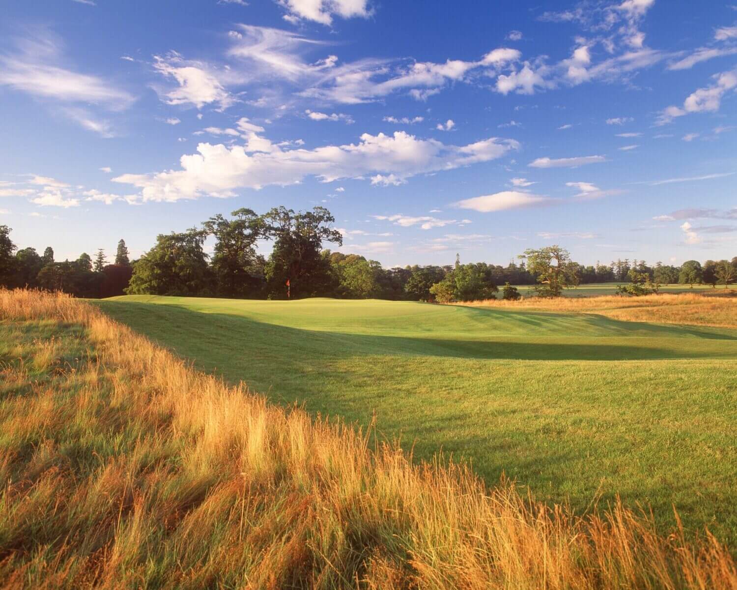 Carton House Resort Montgomerie golf course fifth hole