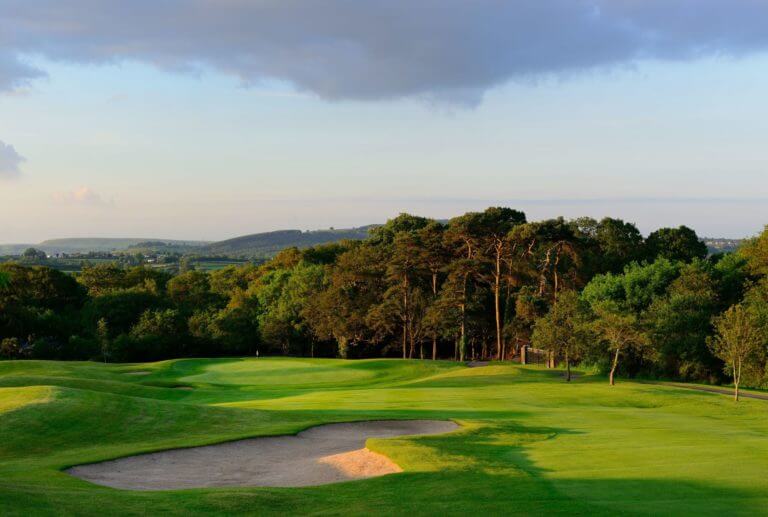 Dense forest stands on the Wales National Course