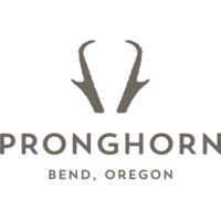 pronghorn
