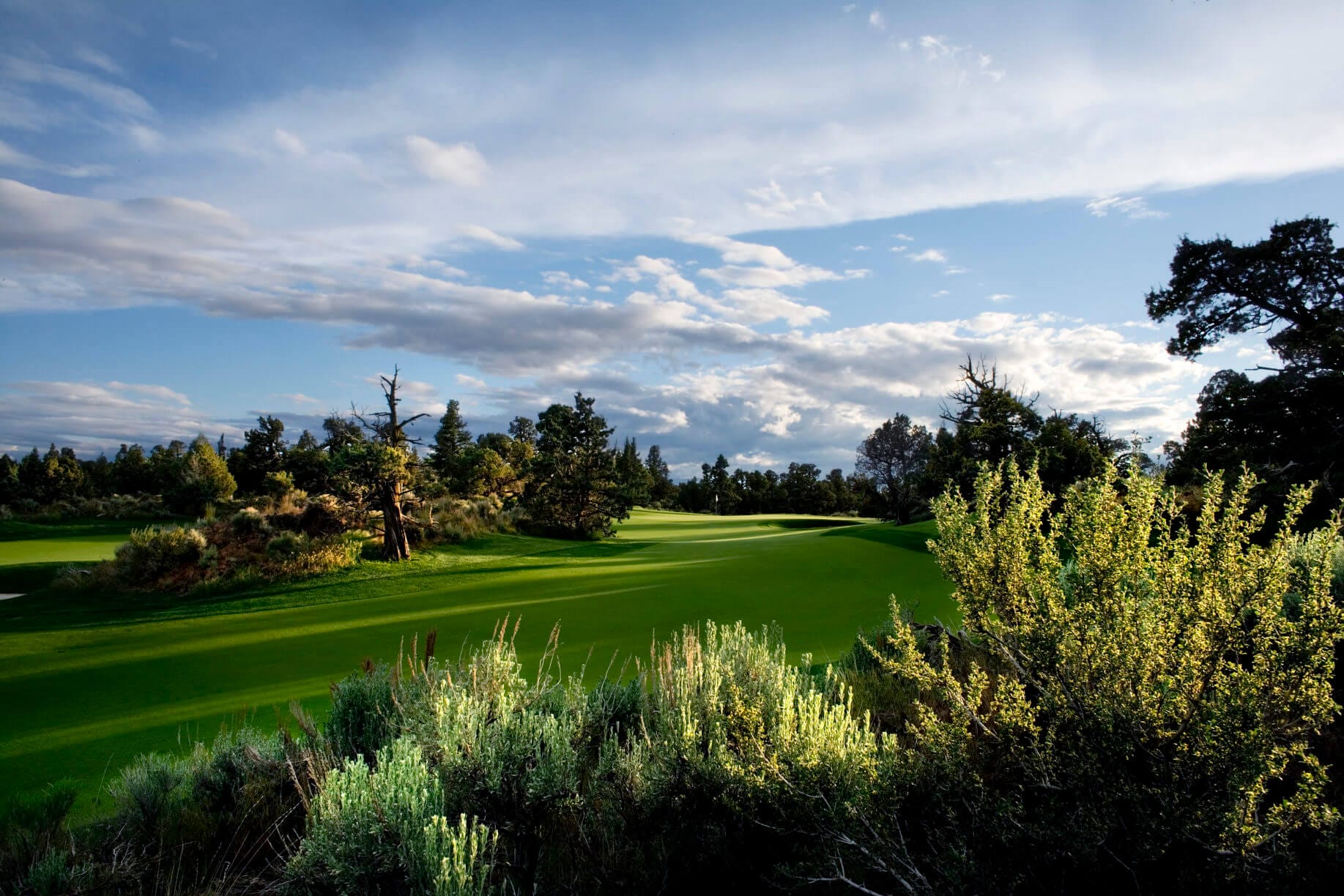 Green fairway lined by Oregon desert cactus at Pronghorn Resort