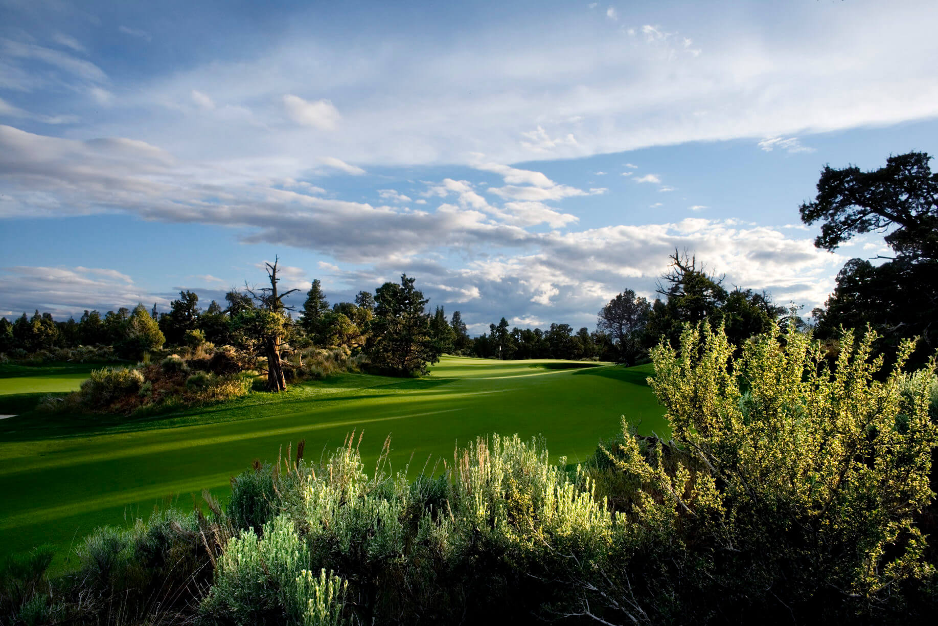 Green fairway lined by Oregon desert cactus at Pronghorn Resort