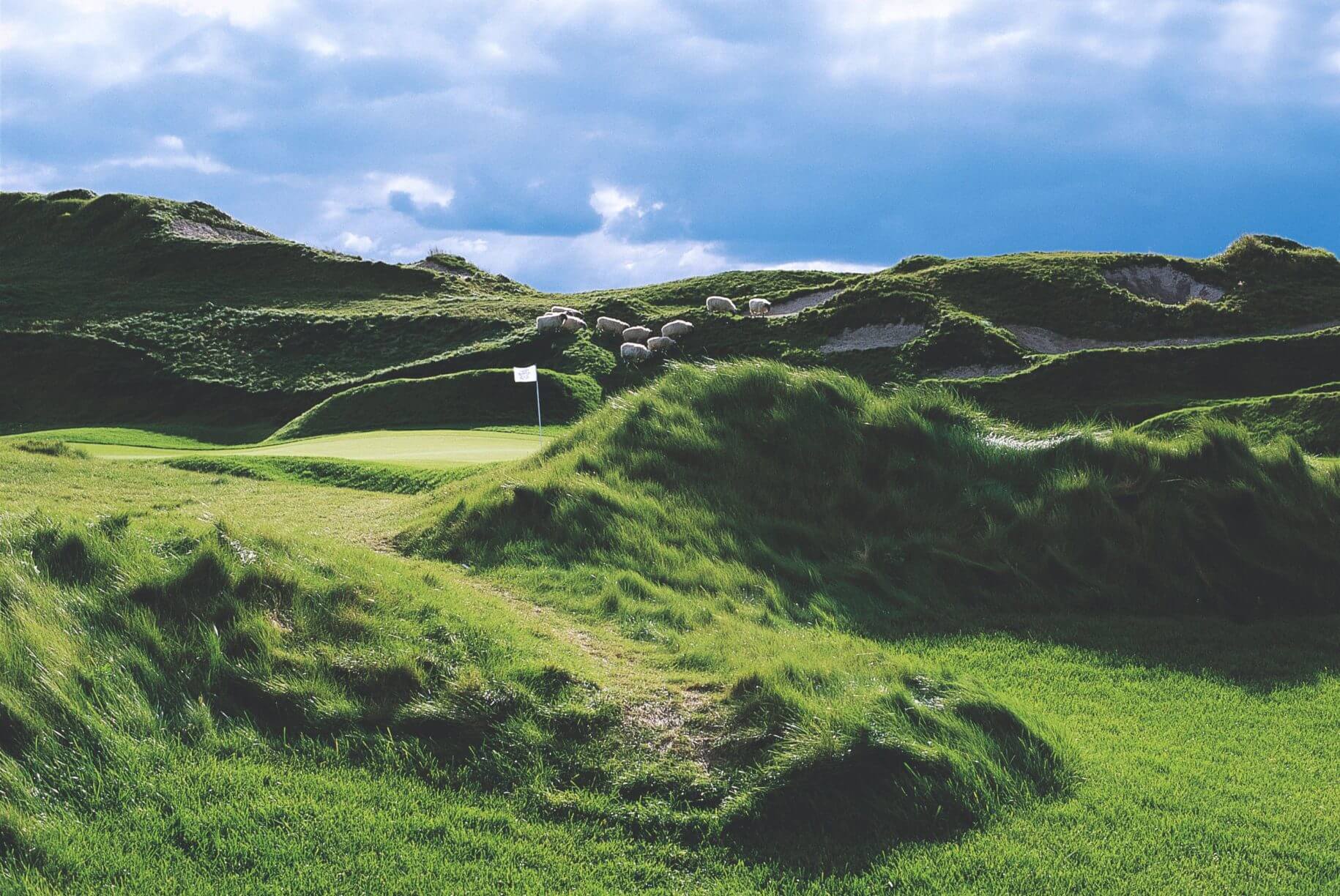 Hilly tussocks on The Irish course at Kohler Resort