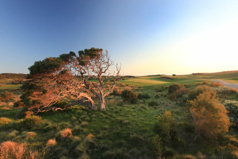 The National Golf Club Moonah Course