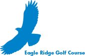 Blue Eagle ridge Emblem