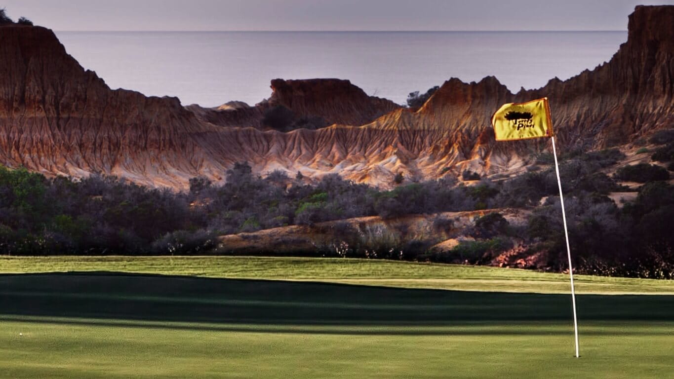 Torrey Pines flag stick in front of red cliffs