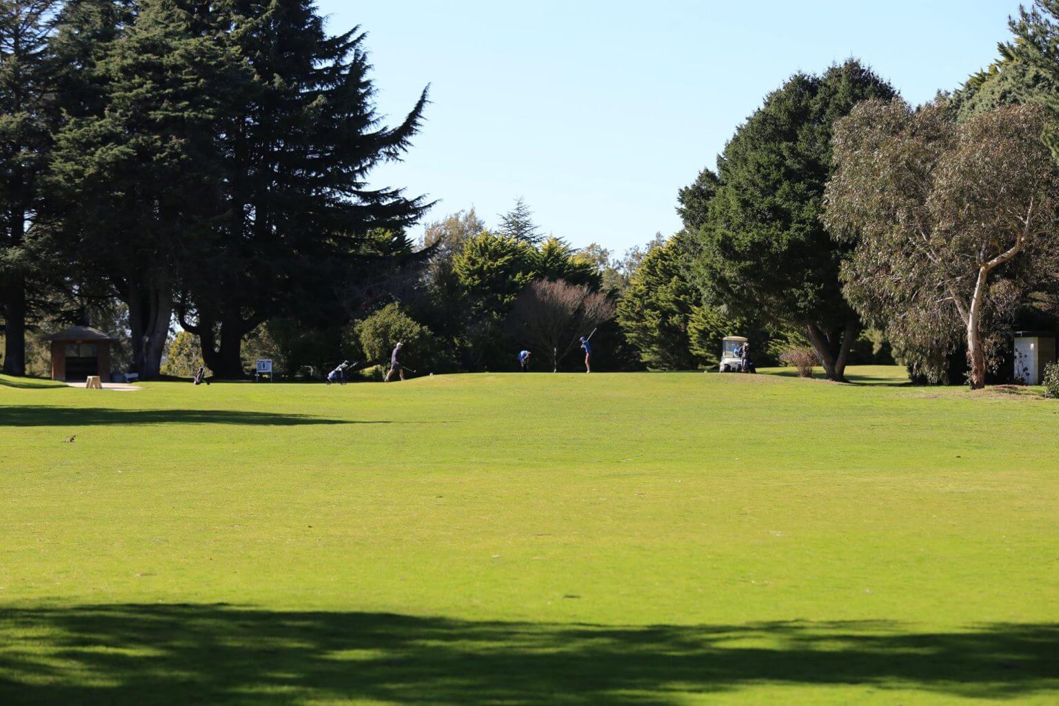 Trees surround golfer teeing off at Napier golf club