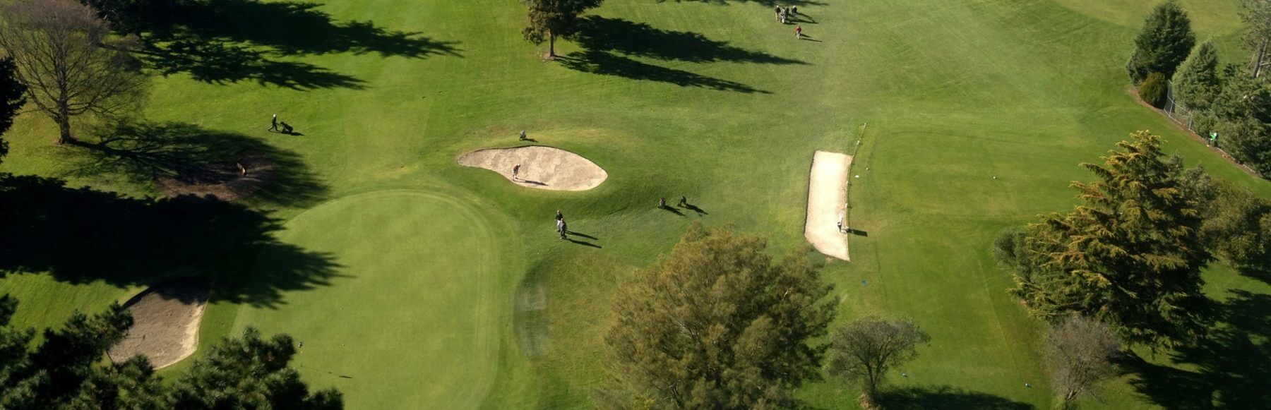 Aerial view of golfers on a green at Napier golf course