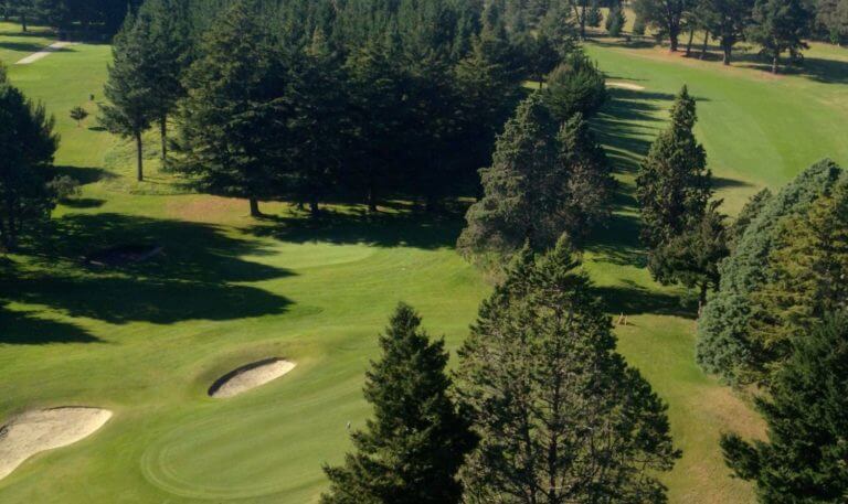 Trees line a fairway and green at Napier golf course