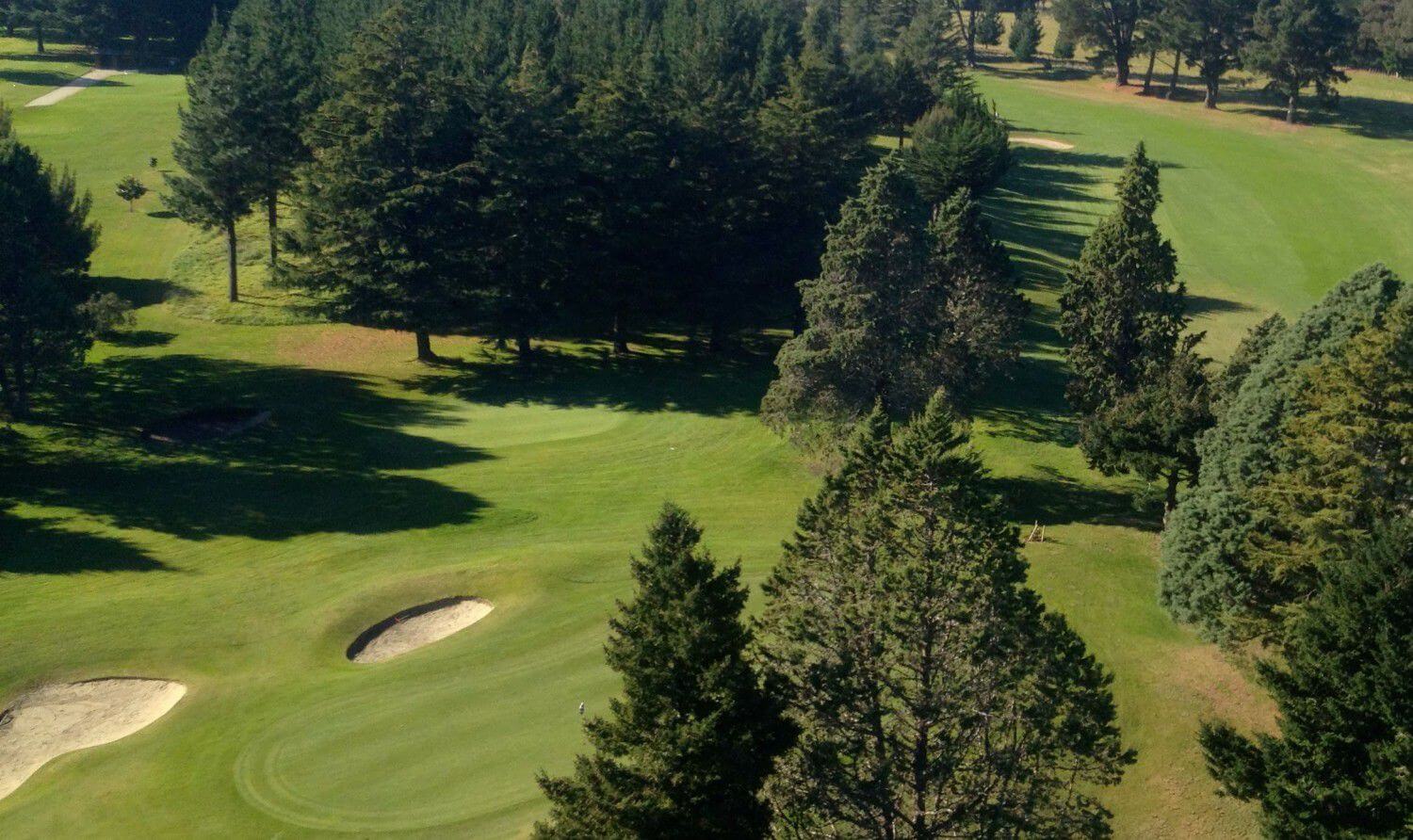 Trees line a fairway and green at Napier golf course