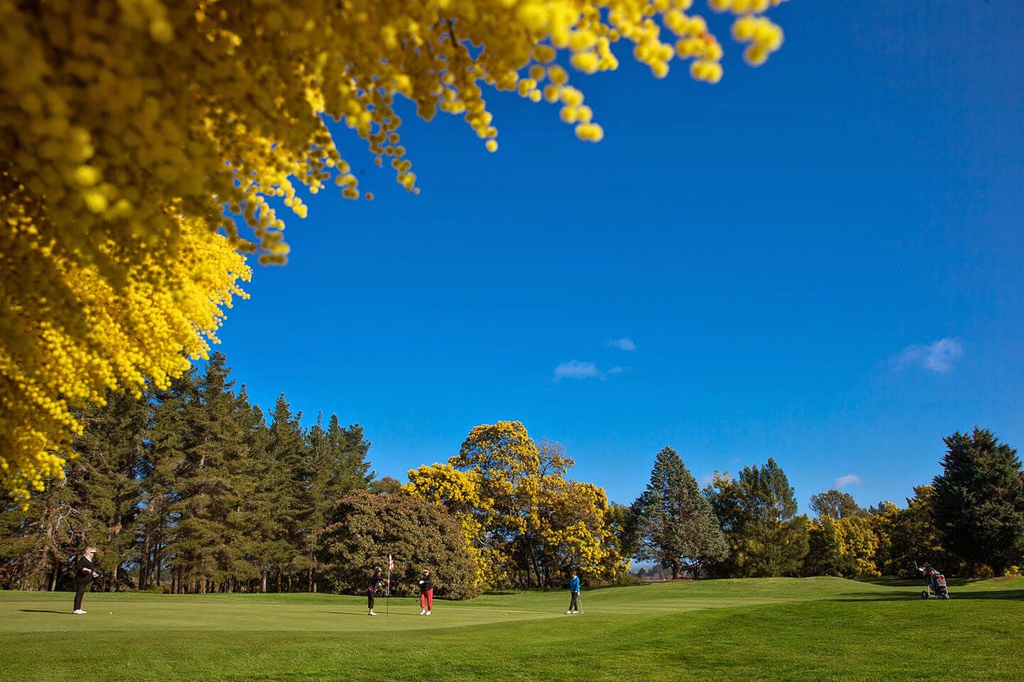 Hastings Golf Club Hawke's Bay, New Zealand Voyages.golf