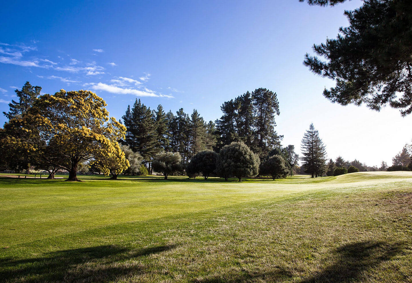 Sunrise and morning dew on a fairway at Hastings golf club