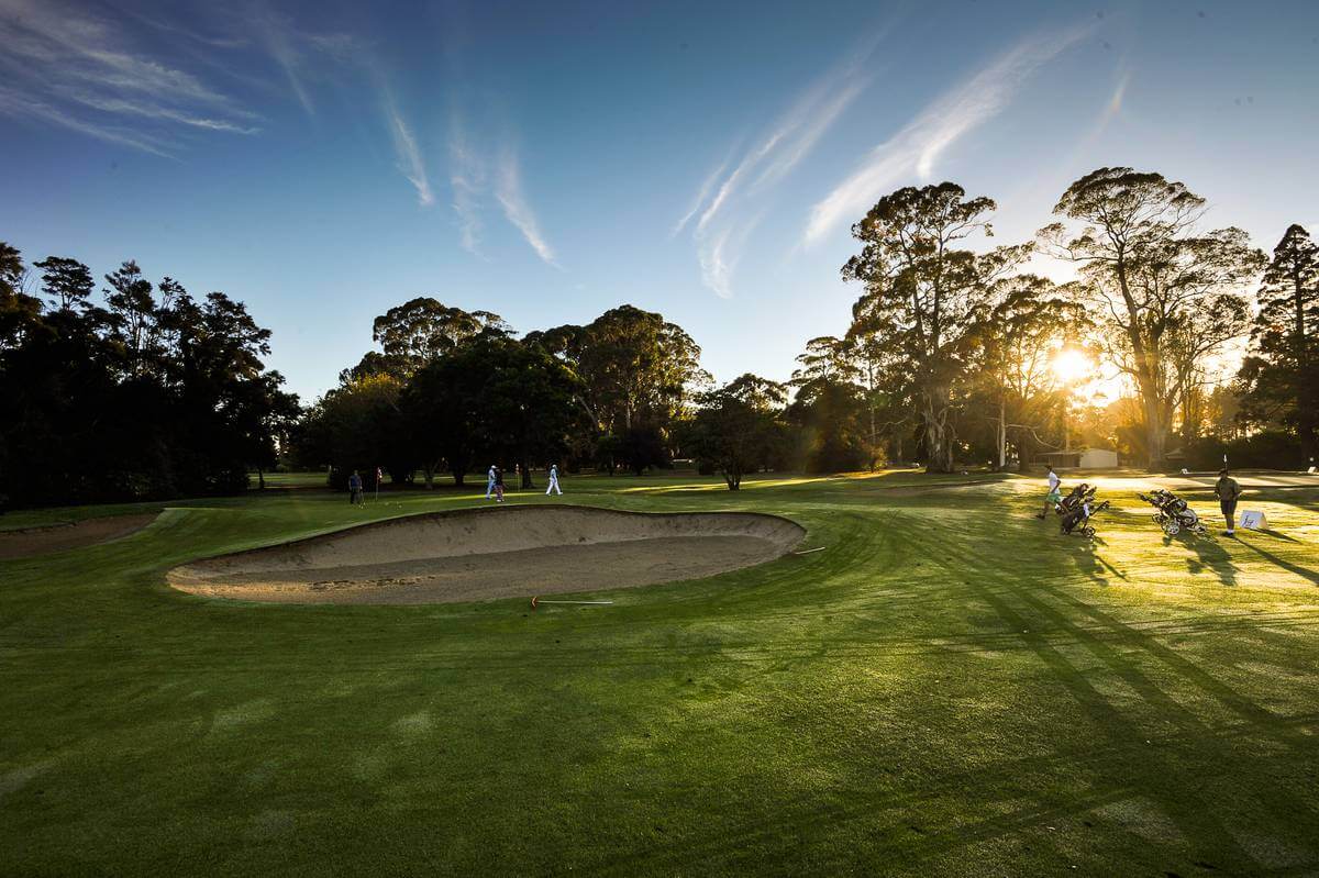 Sunrise through trees on the golf course at Hastings Golf Club