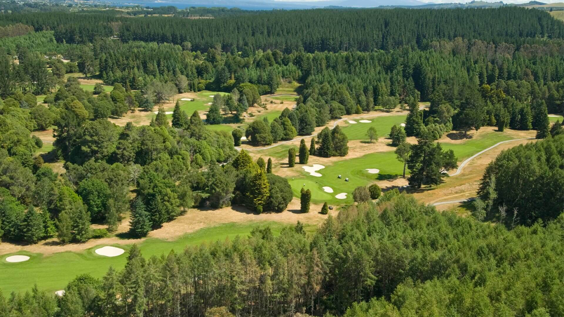 Wairakei golf course amongst heavily forested landscape