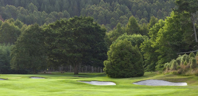Large trees feature prominently on the golf course