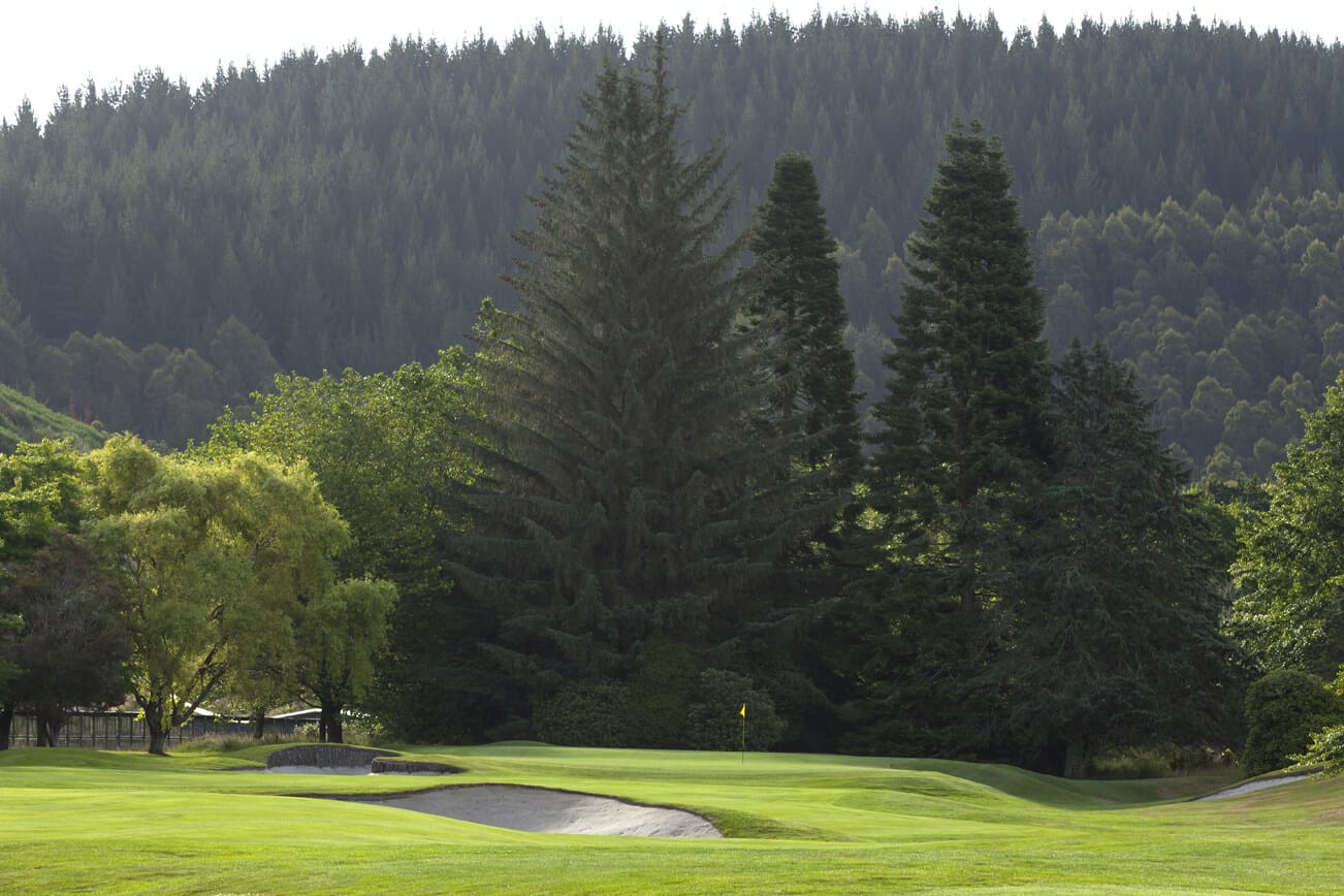 Eighth green standing below towering trees at Wairakei