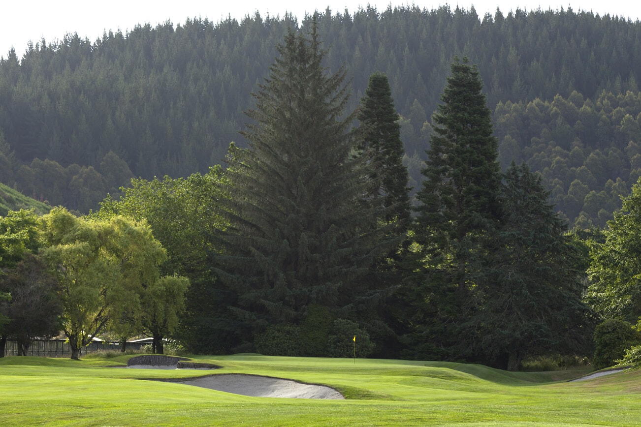 Eighth green standing below towering trees at Wairakei