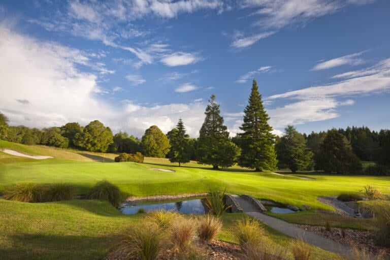 A golf hole runs between trees and a lake at Wairakei golf course