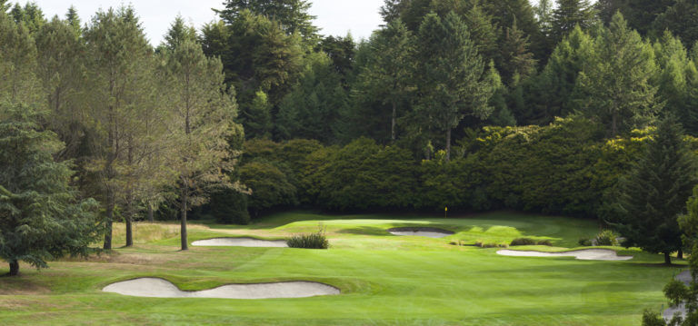 Dense forest surrounds a golf green on three sides