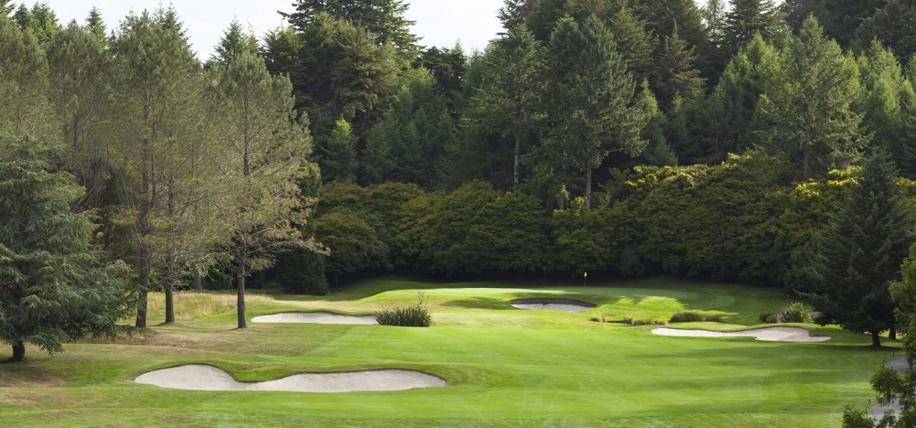 Dense forest surrounds a golf green on three sides
