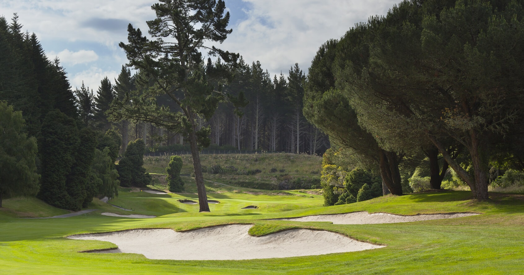 Distant pine trees frame the horizon from the fourteenth hole