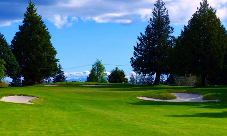 Taupo golf green surrounded by pine trees