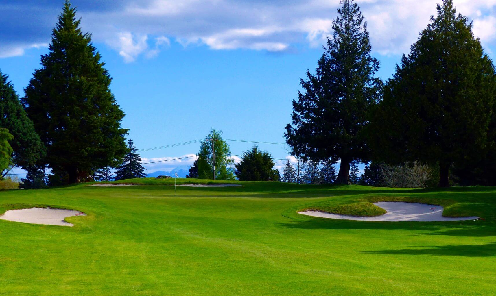 Taupo golf green surrounded by pine trees