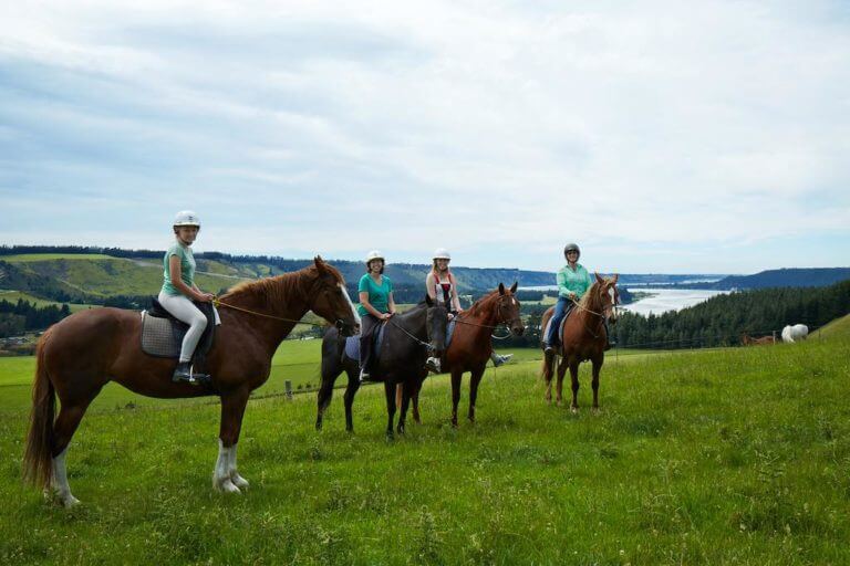 Guests ride horses at Terrace Downs Resort