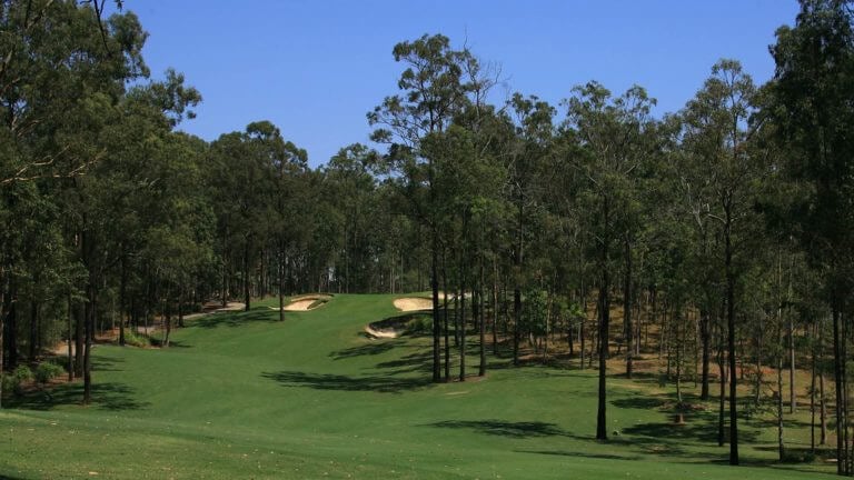 Fairway winds between heavily forested bush