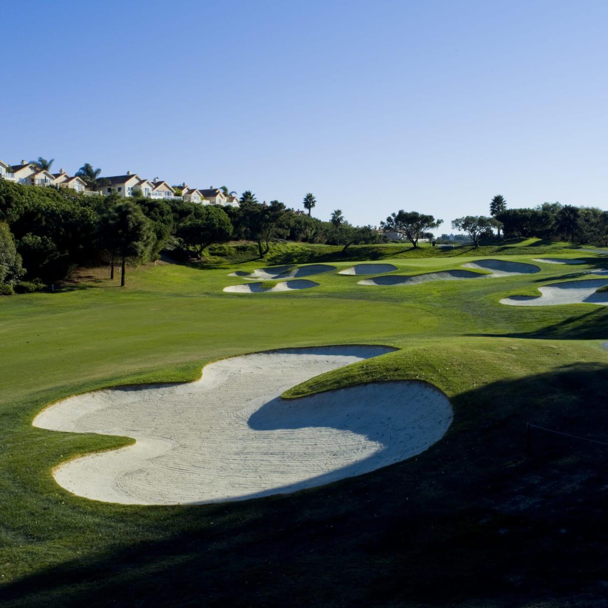 Trent-Jones style bunkers spread out over the golf course