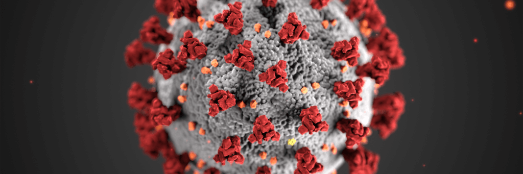 Scientific representation of the corona virus