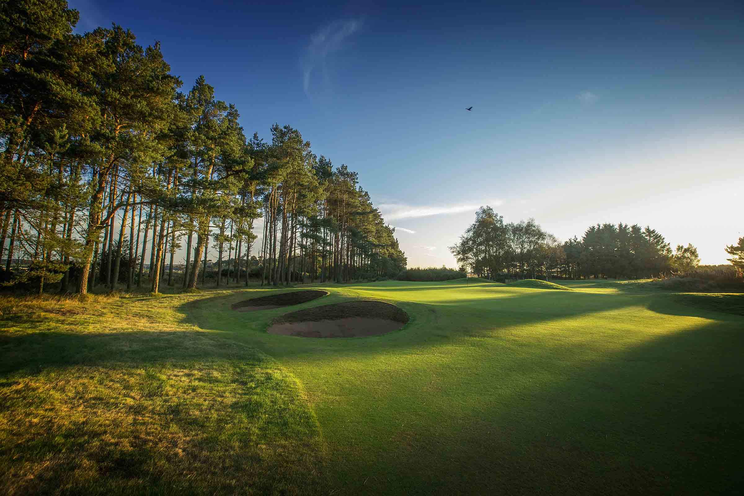 Pine trees frame the fourteenth green at Panmure