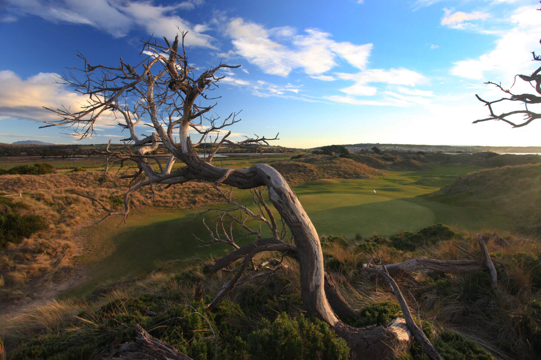 Barnbougle Dunes Golf Course
