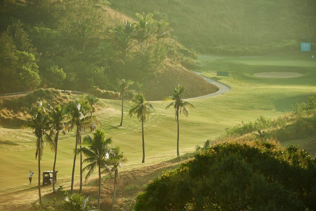 Golfer plays in valley under palm trees