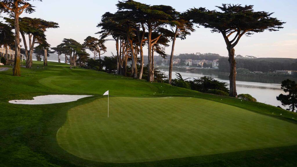 TPC Harding Park Golf course