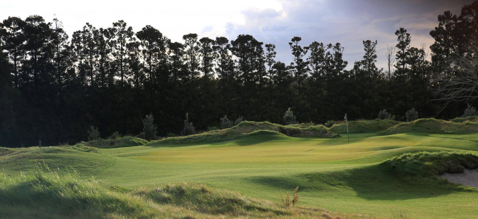 Windross Farm golf links and pine trees