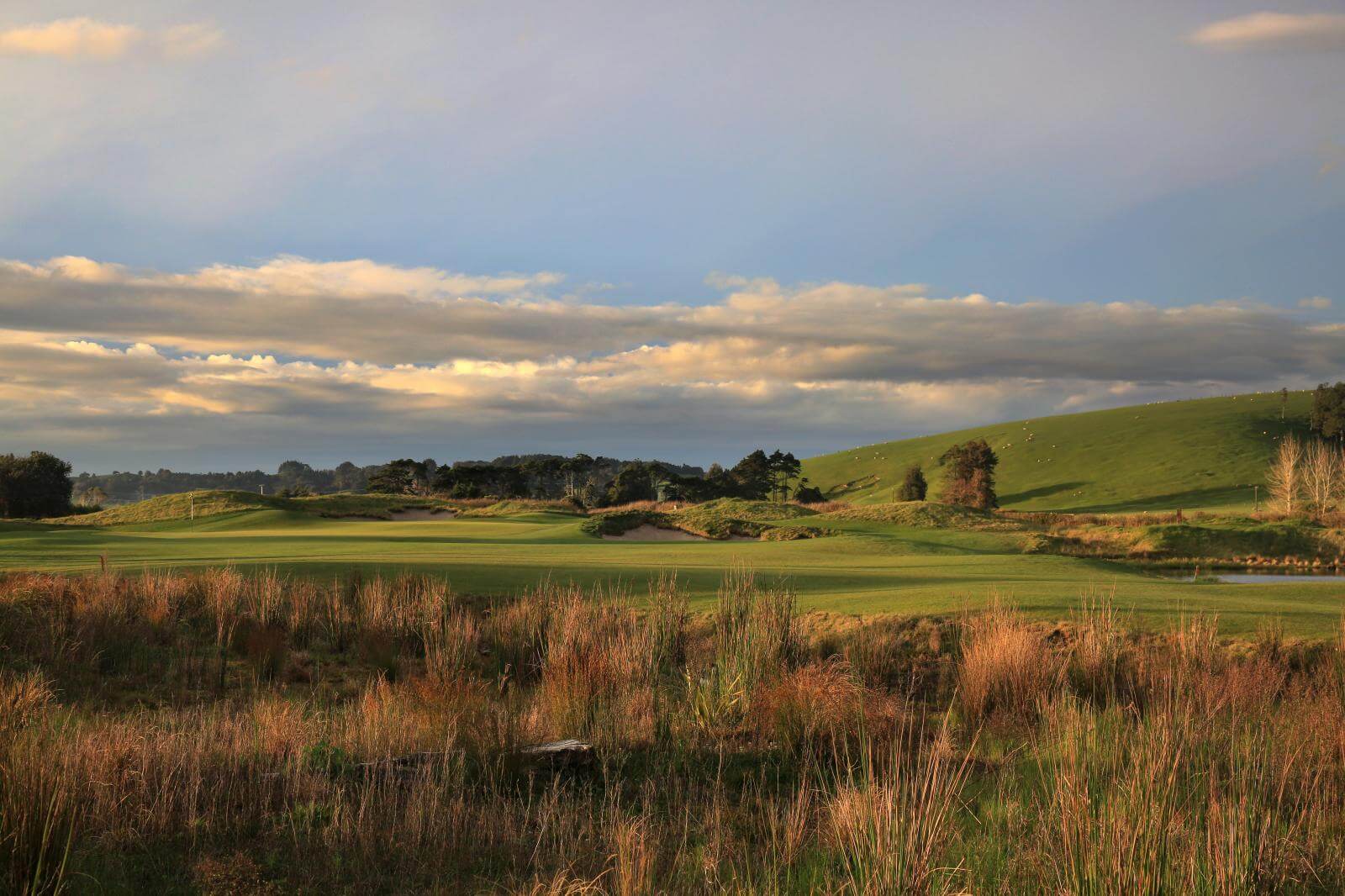 Windross Farm links next to hills