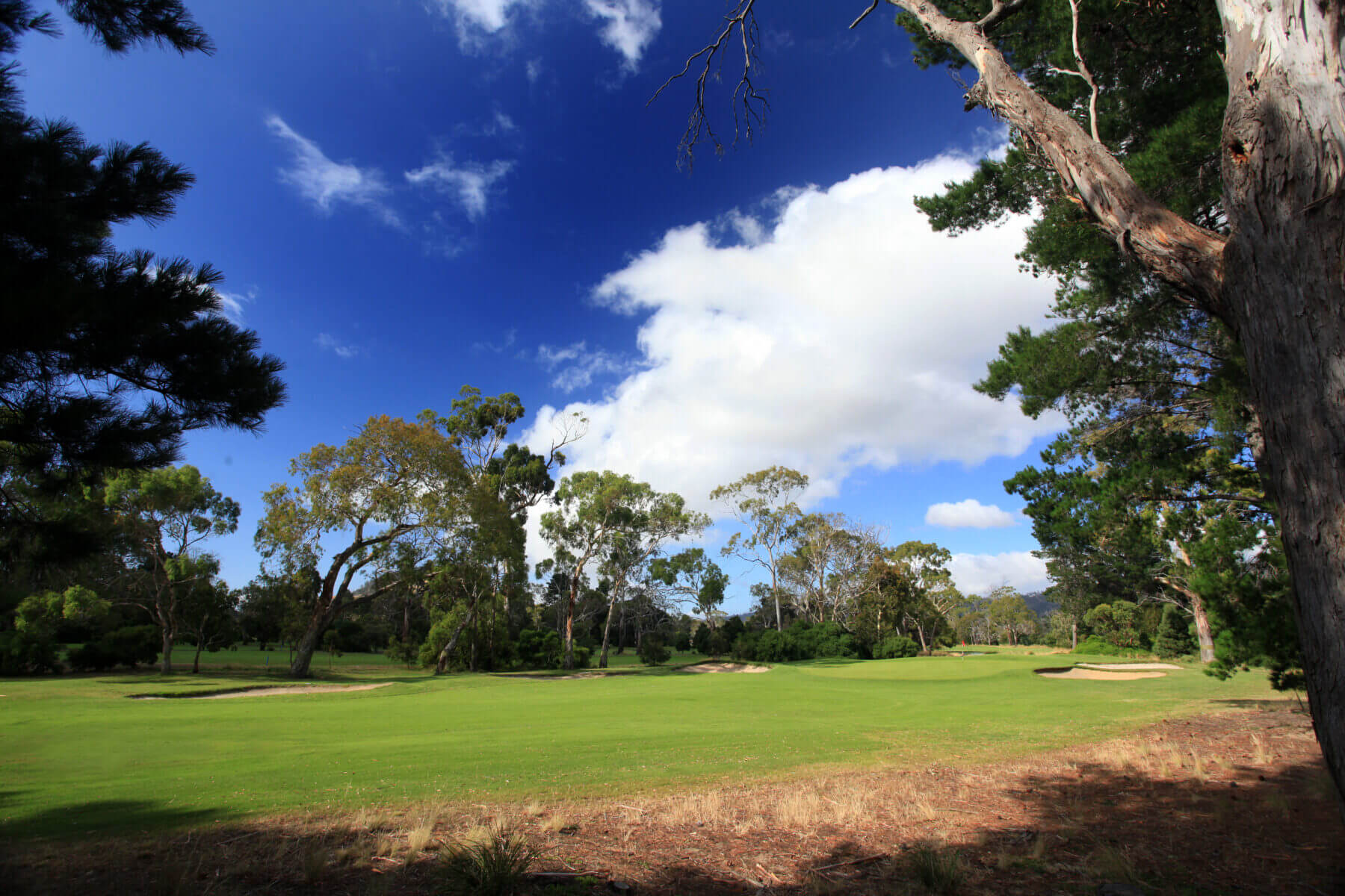 Royal Hobart Golf Club