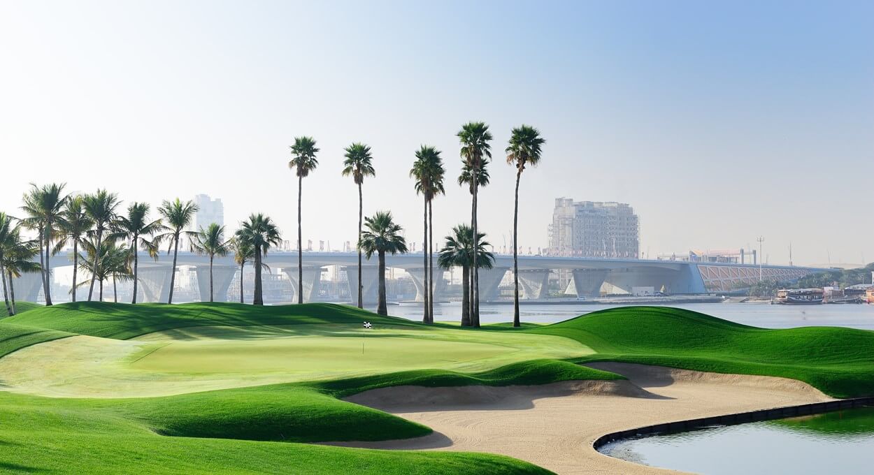 Dubai Creek palm trees on golf course