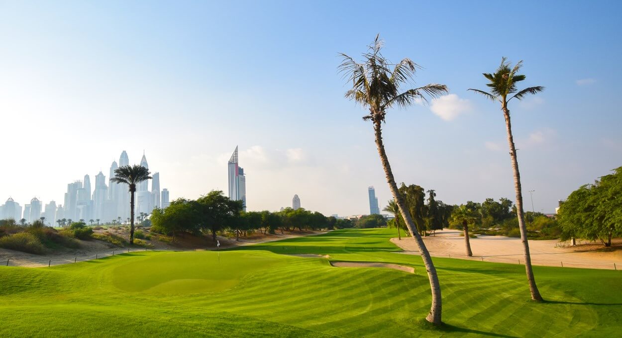 Emirates Golf The Majilis Palm Tree