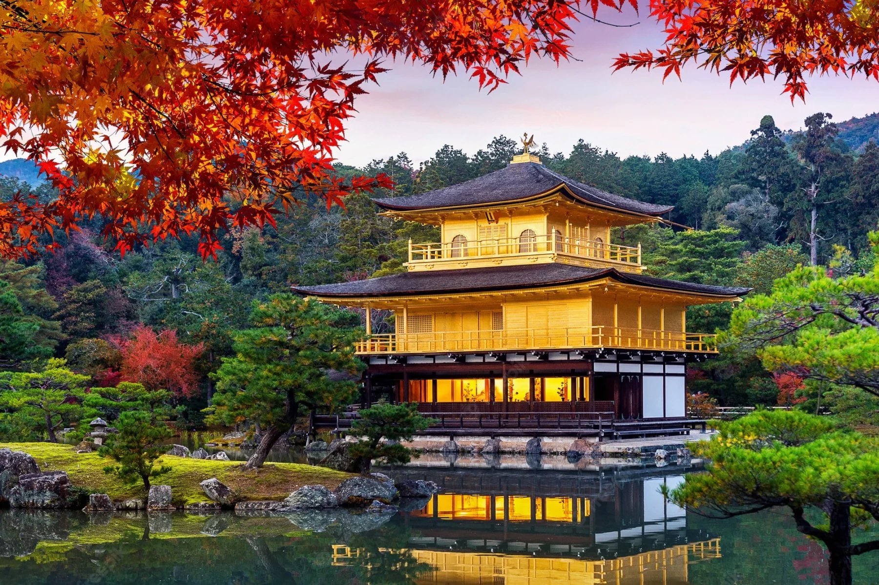 Golden pavilion Japan