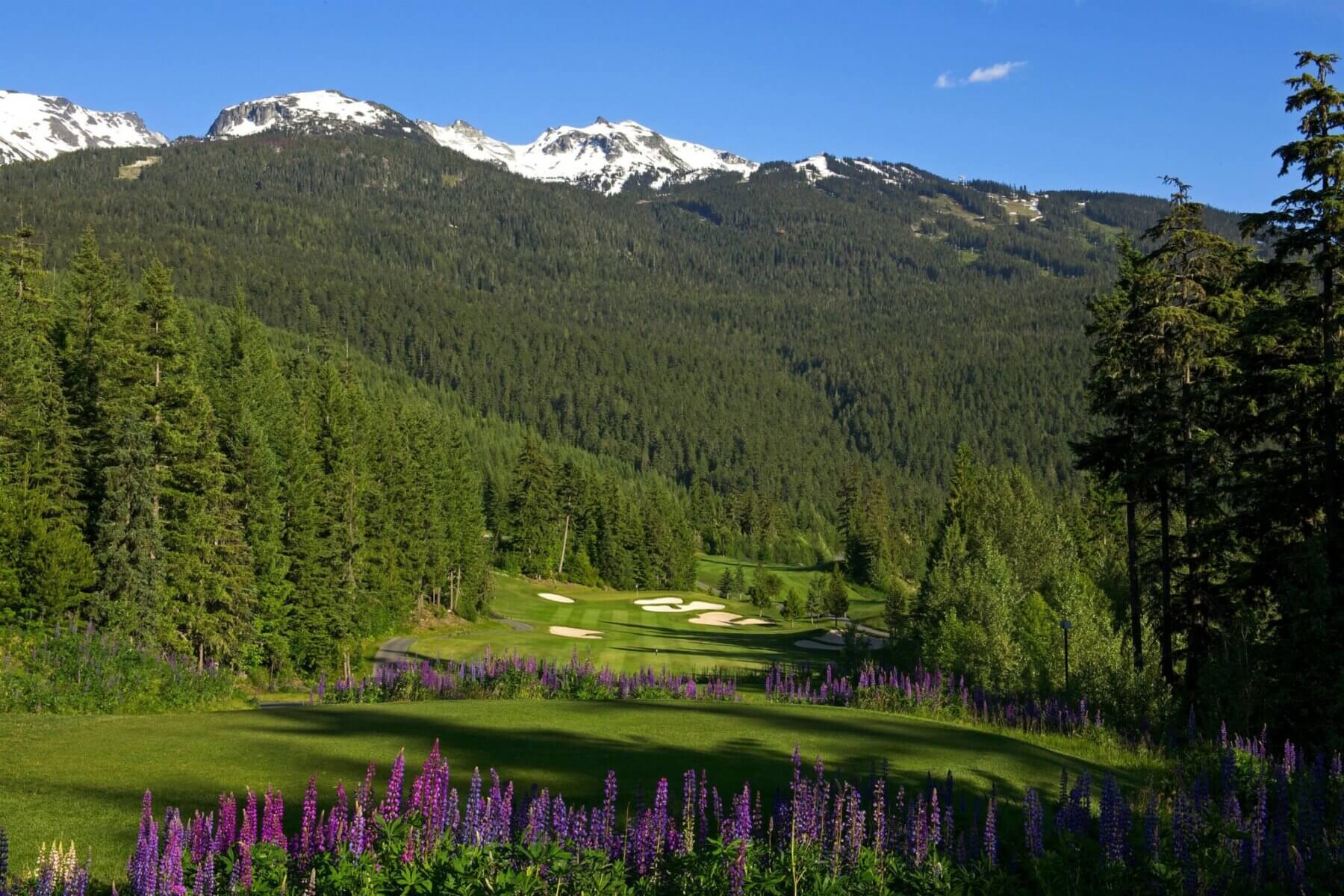 Fairmont Chateau Whistler Golf Club