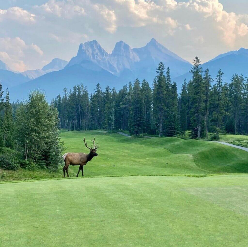 Silver Tip Golf Course