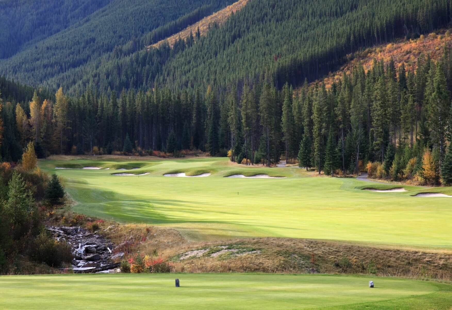 Grey Wolf Golf Course