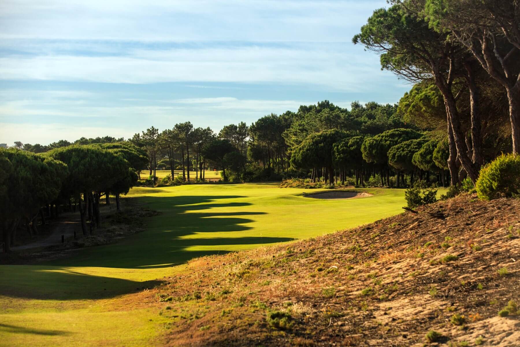 Golf Course aerial view