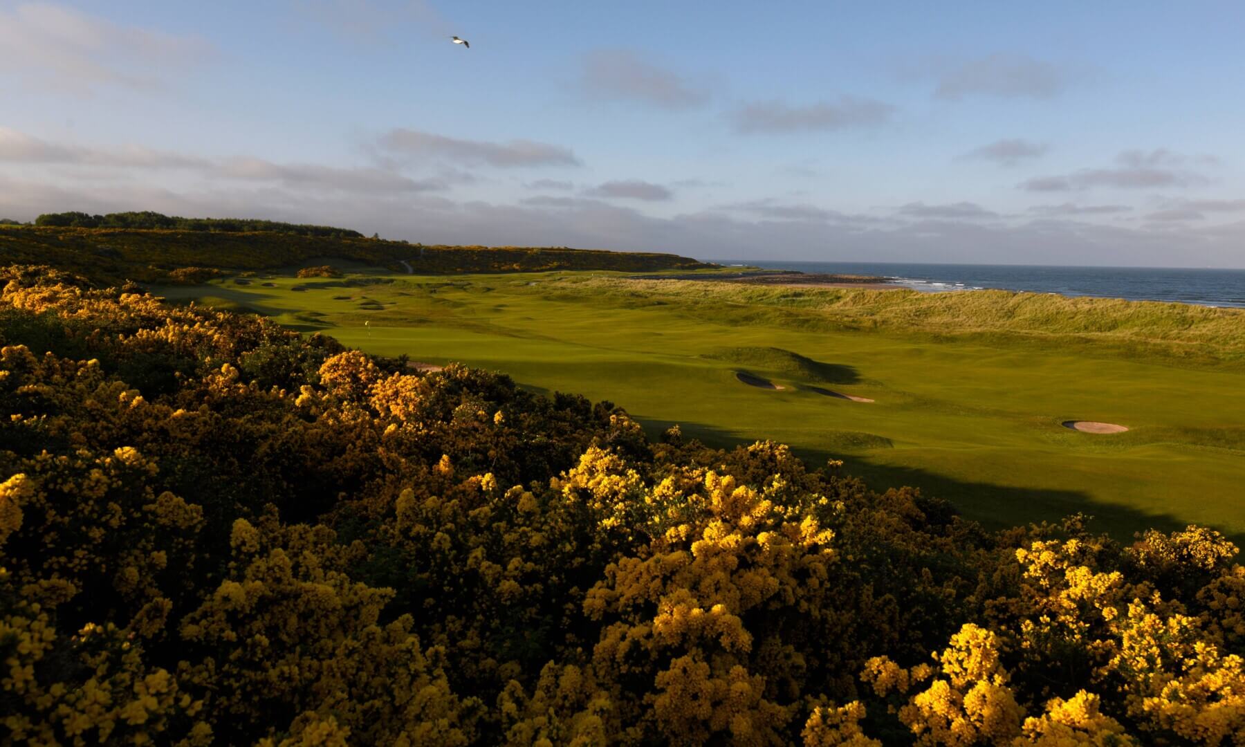 Royal Dornoch Golf Course