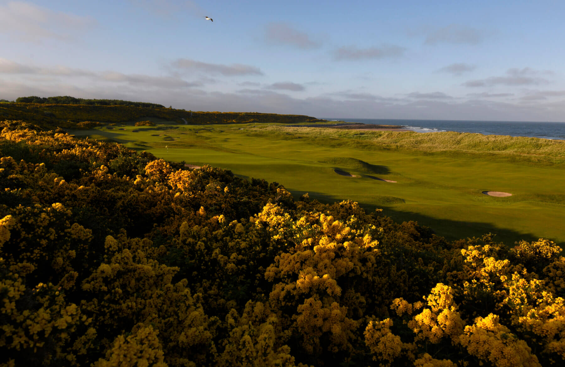 Royal Dornoch Golf Course