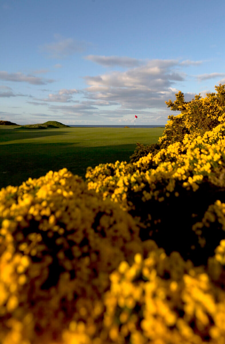 Royal Dornoch Golf Course