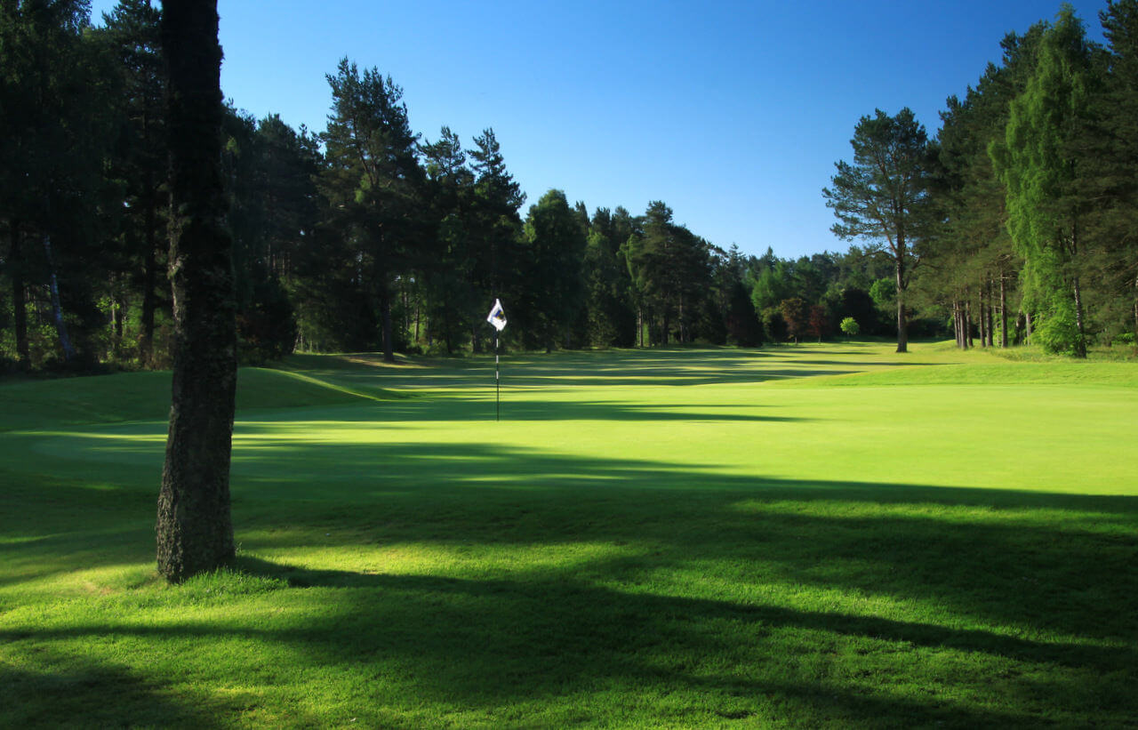 Lush fairways are lined with pine trees at Blairgowrie Golf Club, Scotland, United Kingdom